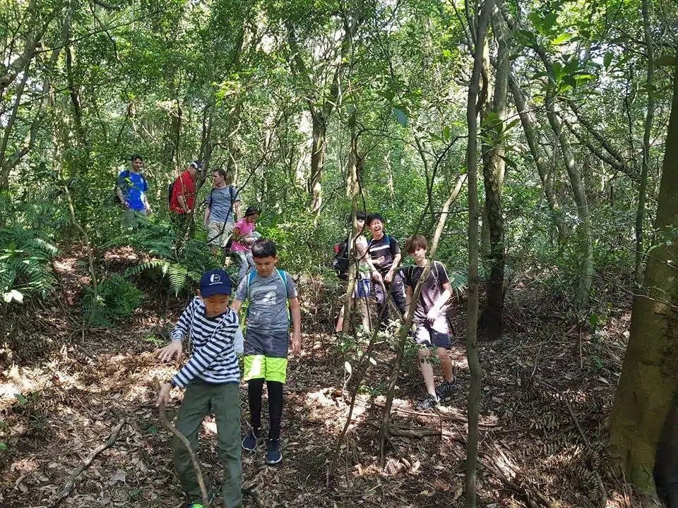 28908315 10155514952518207 1404880805 n