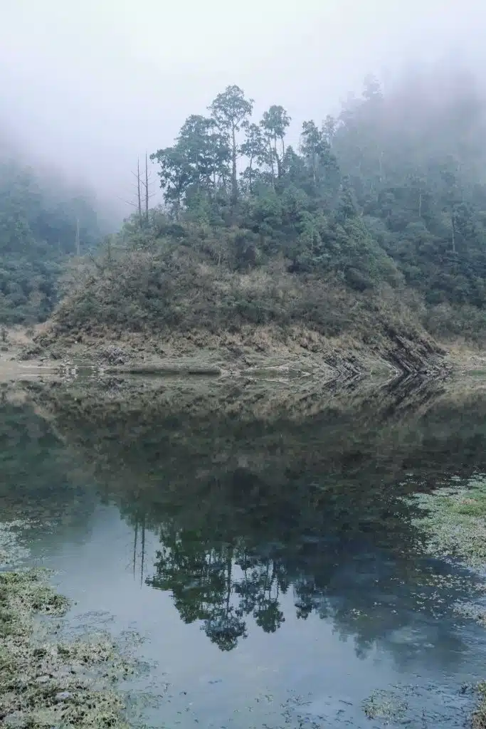 Reflection