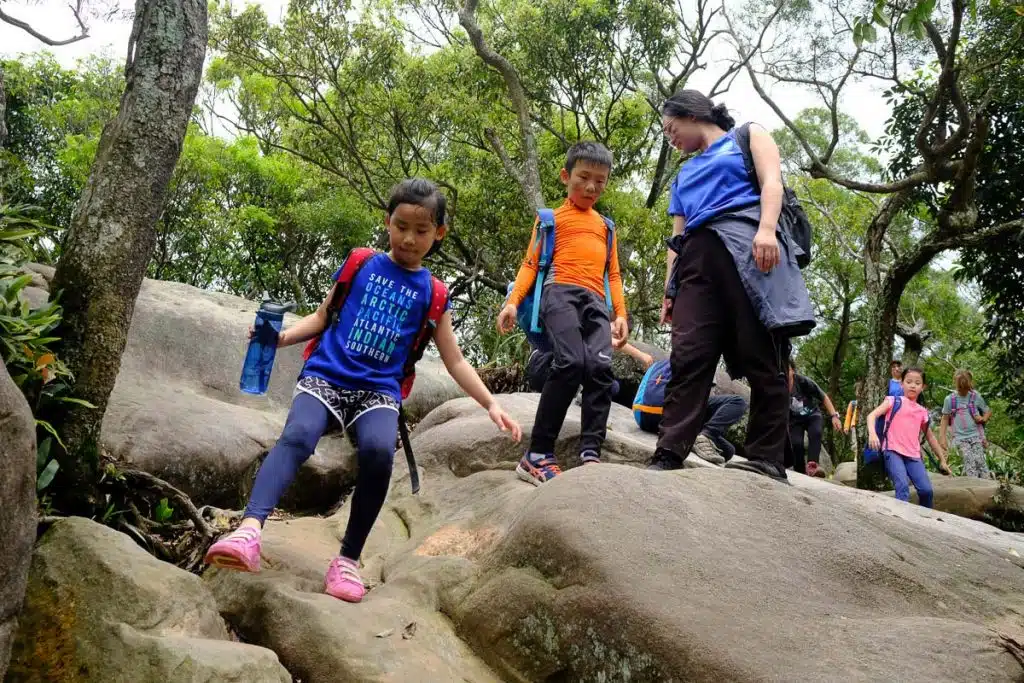 Jungle Hike save the oceans