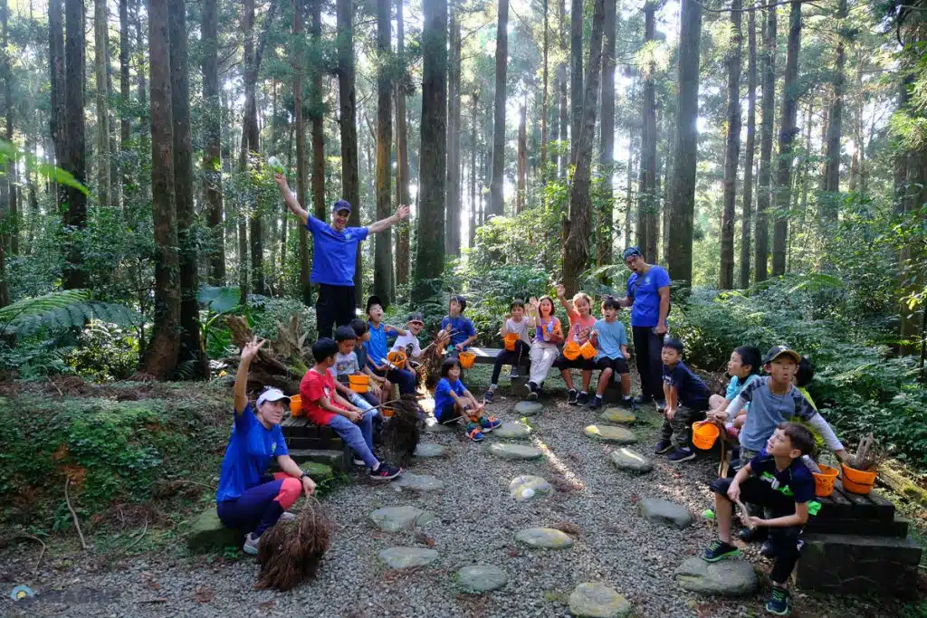 Forest bathing and scavenging ecology insights