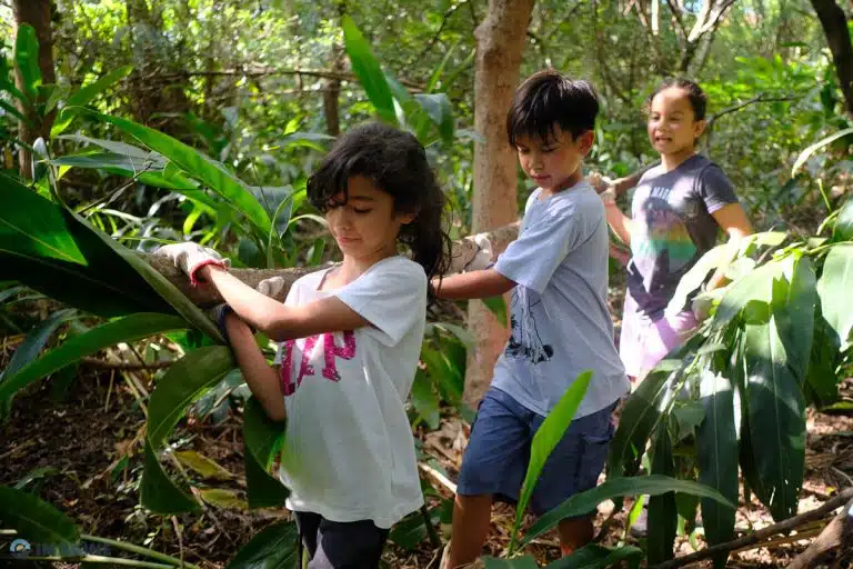 School trips 4 Service leadership & Ecosystem management