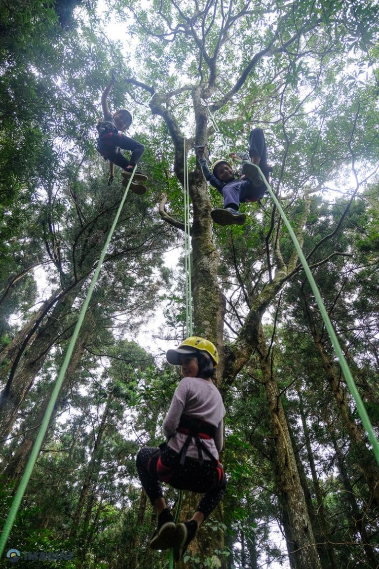 Tree Climbing in Taiwan. Experiential learning
