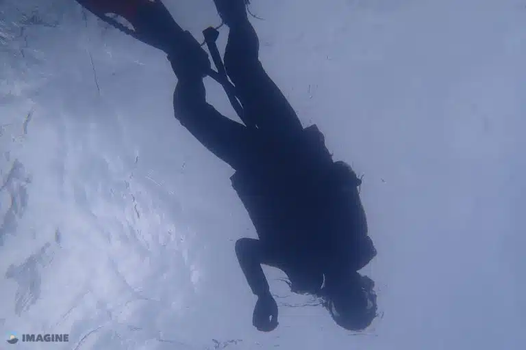 Under The Sea