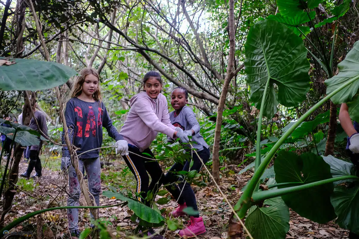 Summer Adventure Camps