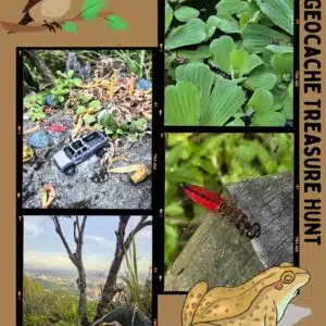 Geocache Treasure Hunt