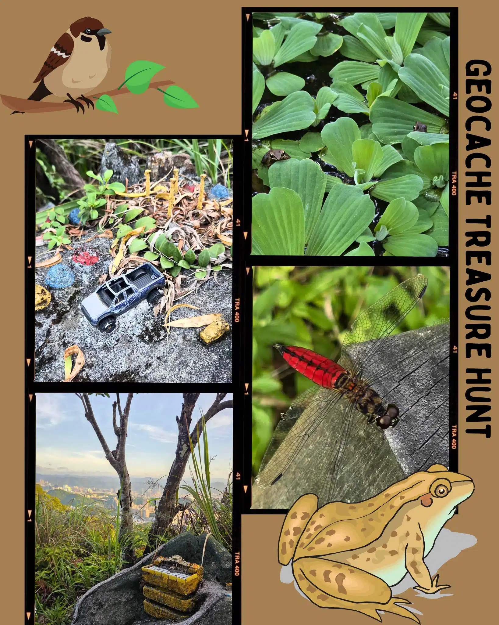 Geocache Treasure Hunt