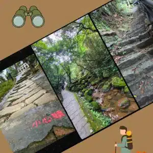 Geocache Treasure Hunt