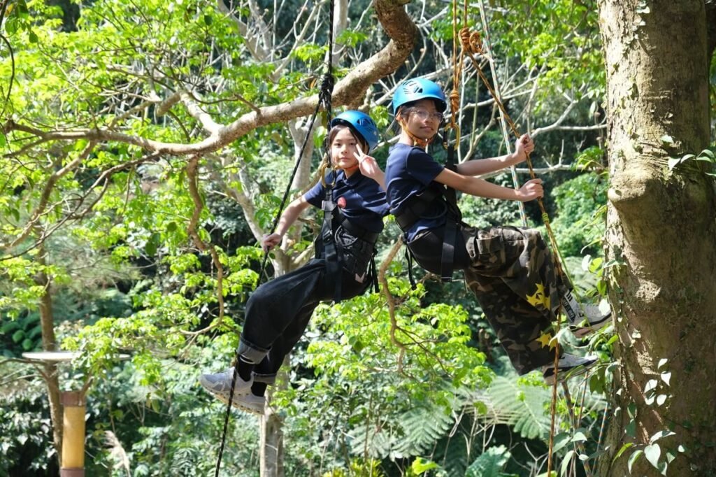 Students participating in outdoor education trip in Miaoli Taiwan - tree climbing experience