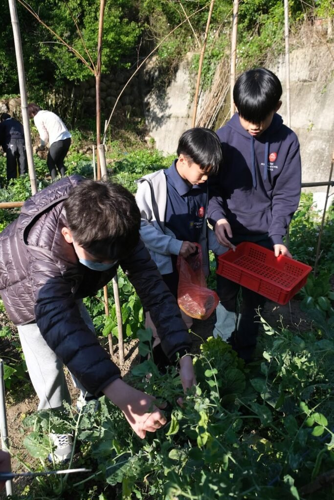 ctbc garden picking