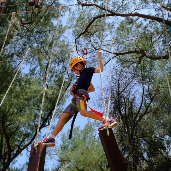 High Ropes adventure climbing Imagine