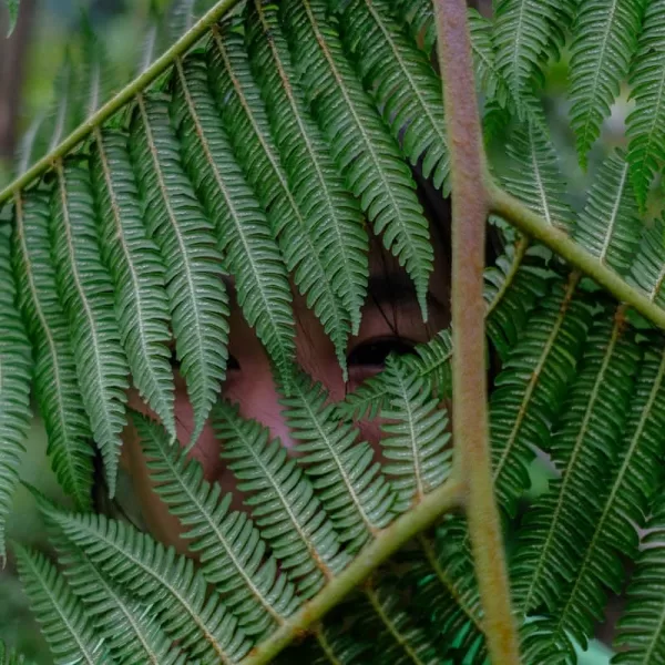 Imagine Taiwan nature education forest