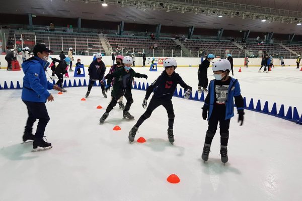 ice skate