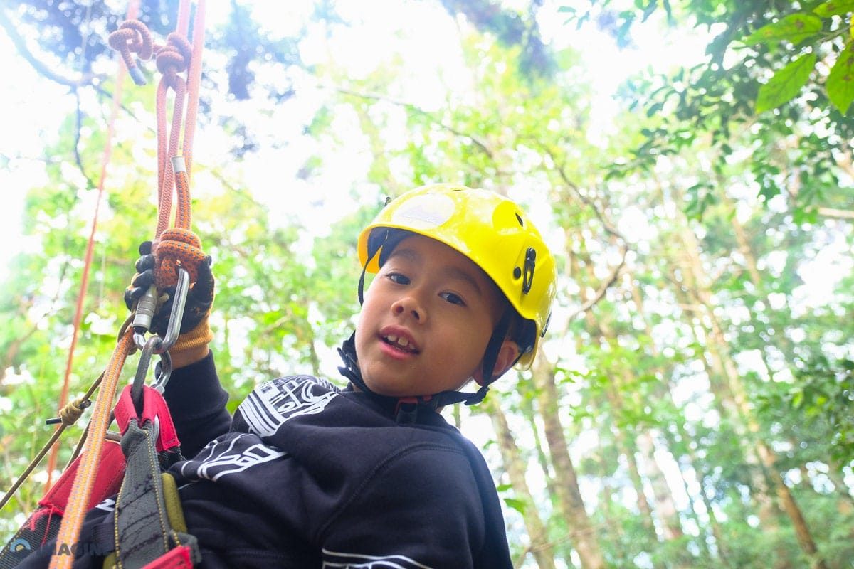 Tree climbing Taiwan